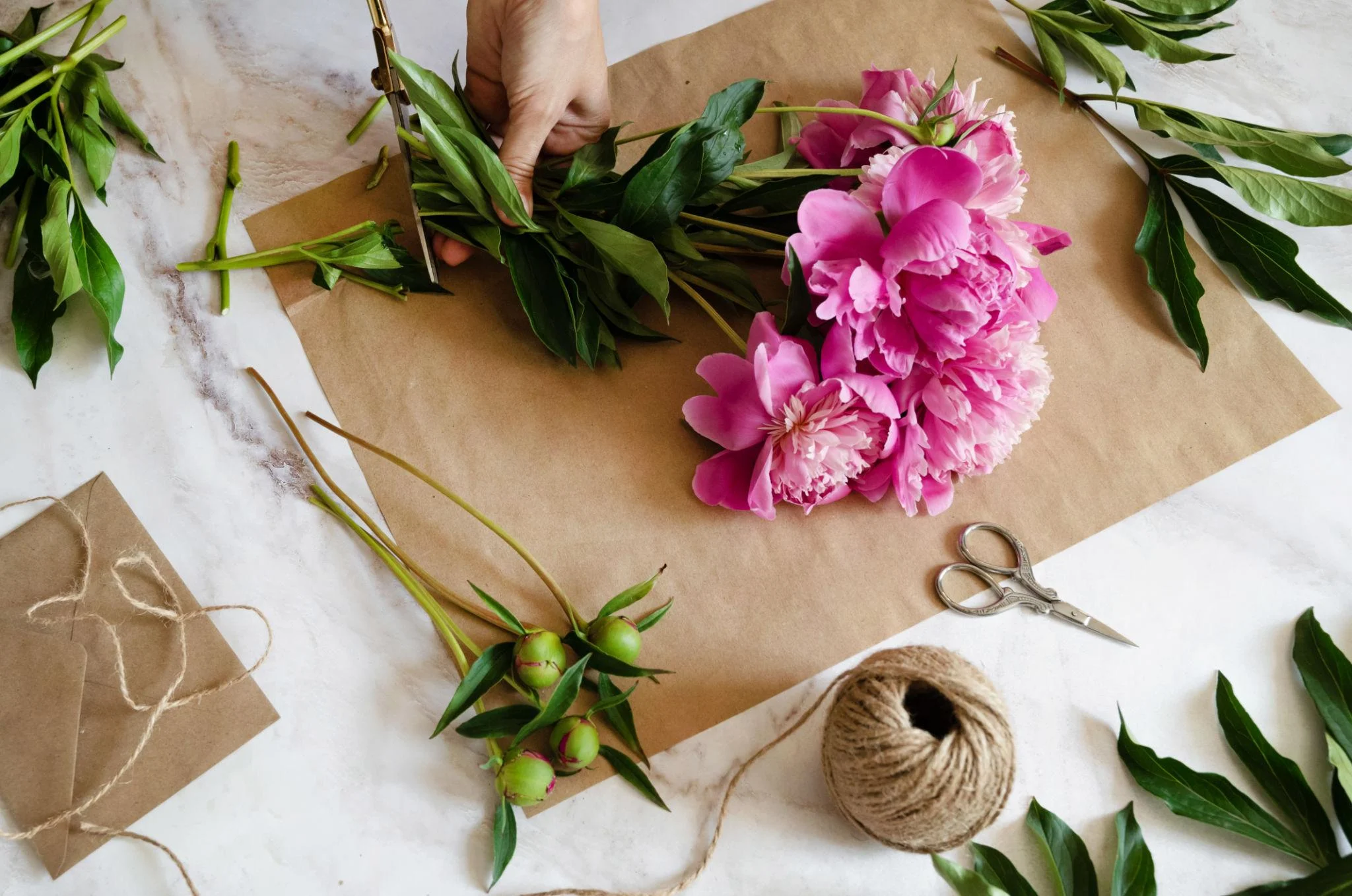 Hands trimming bright pink peony stems with scissors on a marble worktable